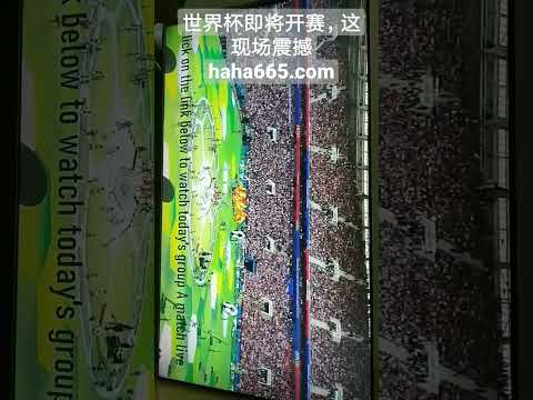 李凱爾再戰,中國男籃賽,盼再展風采,平博指数比分,体育赛事指数平台,足球赛事指数数据,比赛指数资讯,赛事数据