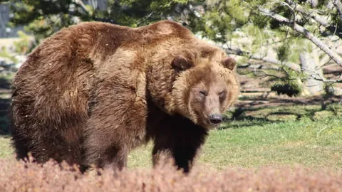 奥斯卡沉默祝贺前上港队友胜利
