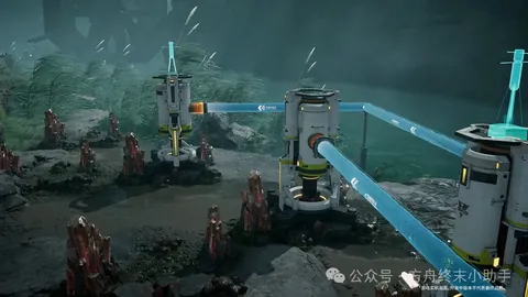 “年终羽联总决赛巅峰对决：我国女单夺冠在望，赛程攻略尽在央视体育频道”